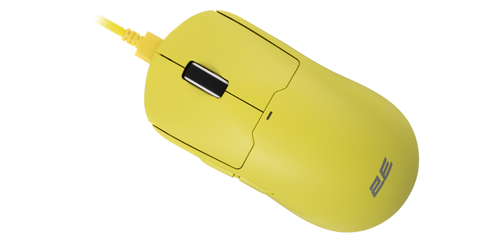 Wireless Freedom or Wired Stability to Choose From